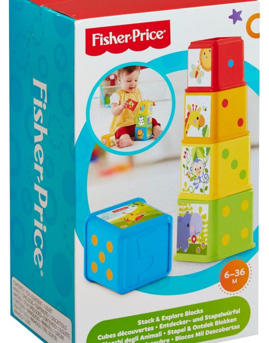 Fisher Price  Stapel en Leer Blokken