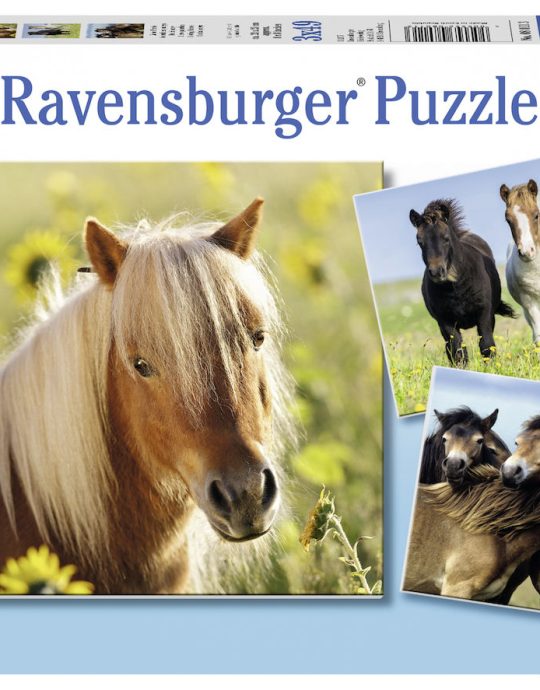 Puzzel 3x49 stukjes Schattige Pony's