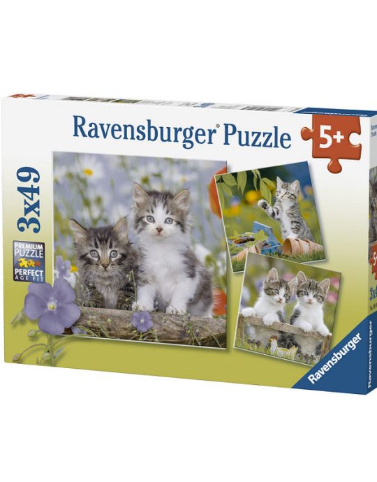 Puzzel 3x49 stukjes Katten