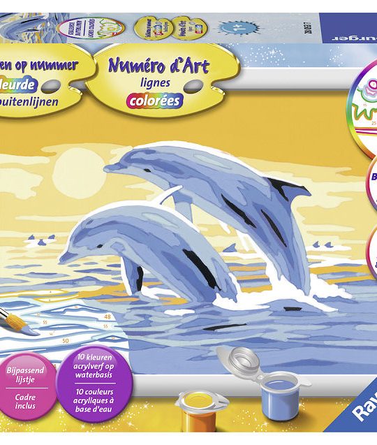 Schilderen op nummer Serie Classic E Springende dolfijnen
