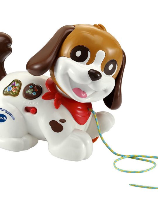 Vtech Mijn Eerste Puppyvriendje