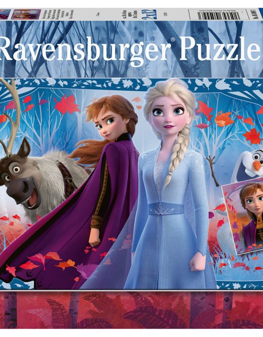 Puzzel 2x12 stukjes Frozen 2