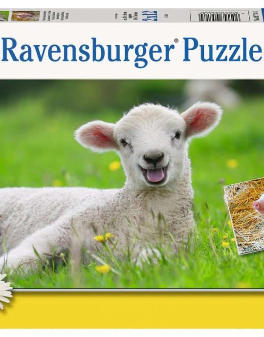 Puzzel 2x12 stukjes Boerderijdieren