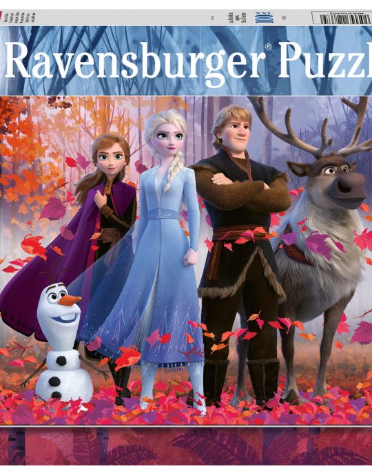 Puzzel 100 XXL Frozen 2