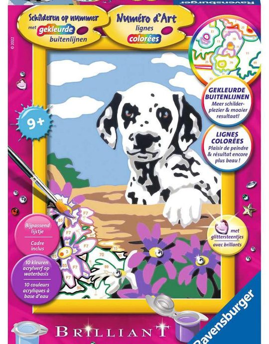 Schilderen op nummer Serie E Dalmatier puppy