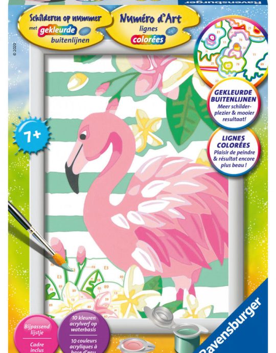 Schilderen op nummer Serie Flamingo