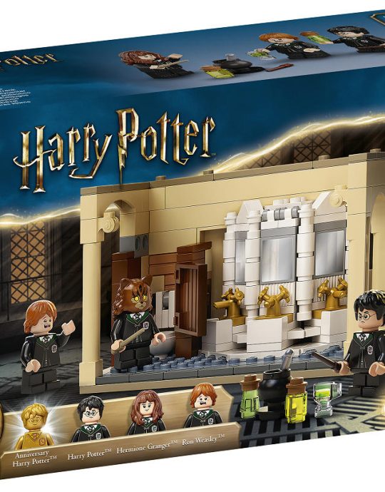 LEGO Harry Potter Zweinstein - Wisseldrank vergissing