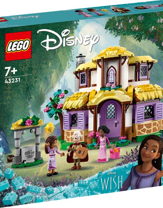LEGO Disney Princess Asha 's huisje