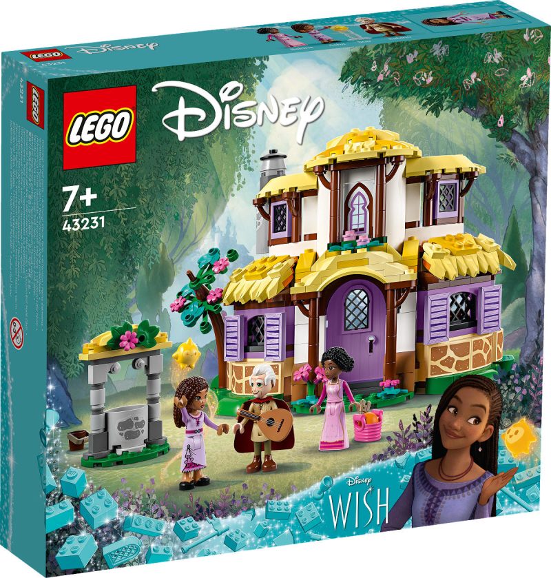 LEGO Disney Princess Asha 's huisje