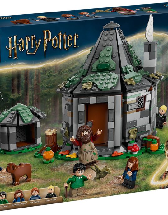 LEGO Harry Potter Hagrids huisje: onverwacht bezoek