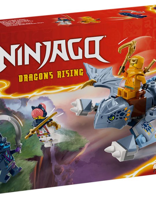 LEGO Ninjago Jonge draak Riyu