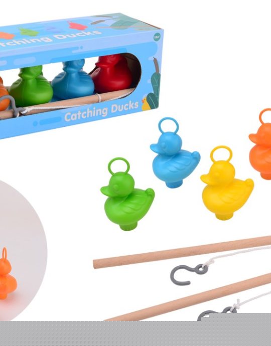 Eenden vis spel in doos 5 eenden en 2 hengels