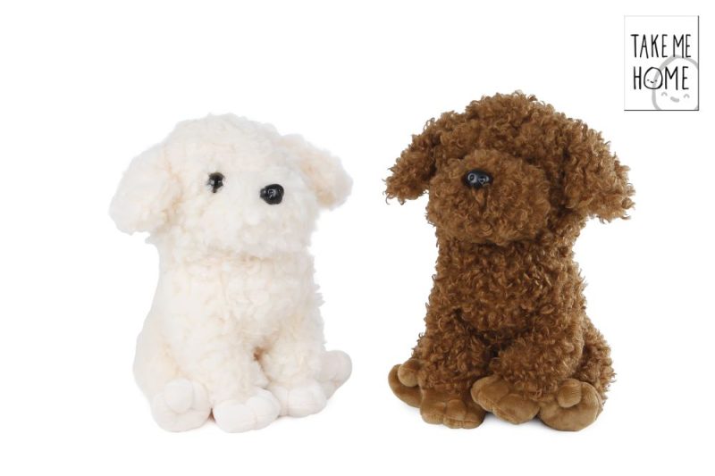 Take Me Home hond poedel pluche 2ass 26cm