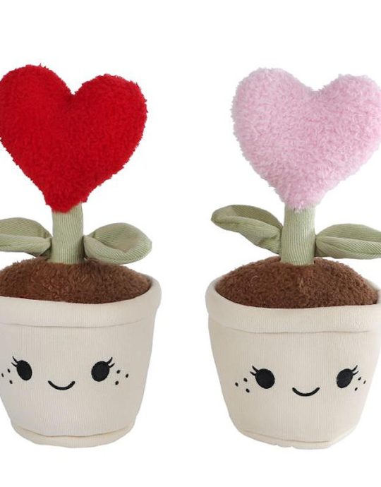 Take Me Home hart plant 2ass pluche 27cm