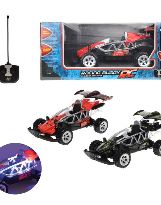 Raceauto Buggy RC 2 ass
